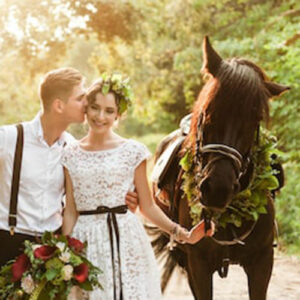 bride-groom-forest-horses-wedding-260nw-470155799